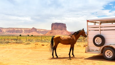 horse-and-trailer-crossing-state-lines-canyon