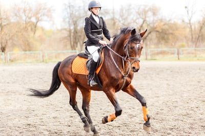 woman-riding-horse-in-outdoor-arena